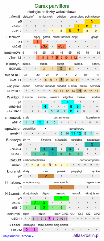 ekologiczne liczby wskaźnikowe Carex parviflora (turzyca czarna)