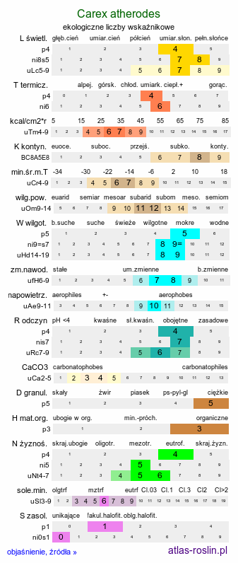 ekologiczne liczby wskaźnikowe Carex atherodes (turzyca oścista)