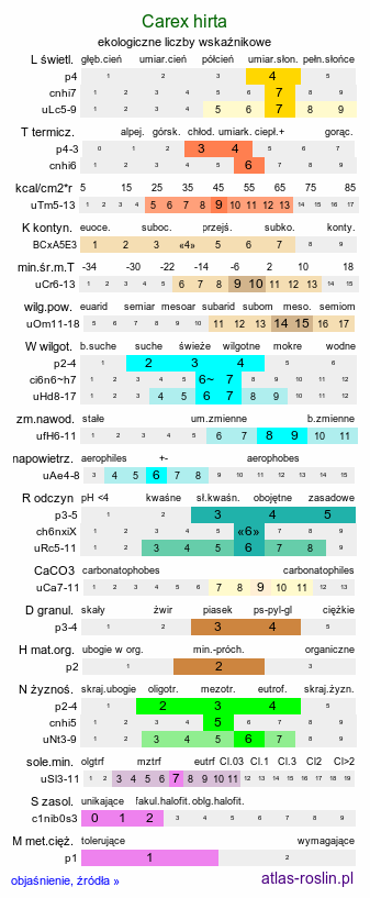 ekologiczne liczby wskaźnikowe Carex hirta (turzyca owłosiona)