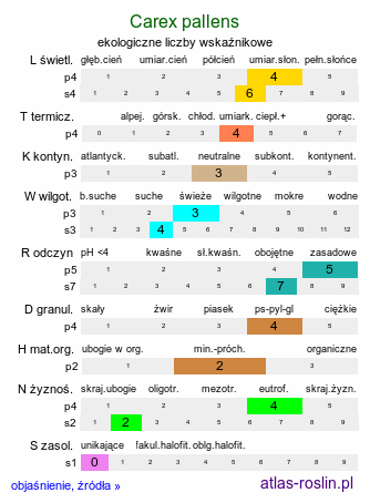 ekologiczne liczby wskaźnikowe Carex pallens (turzyca bladozielona)