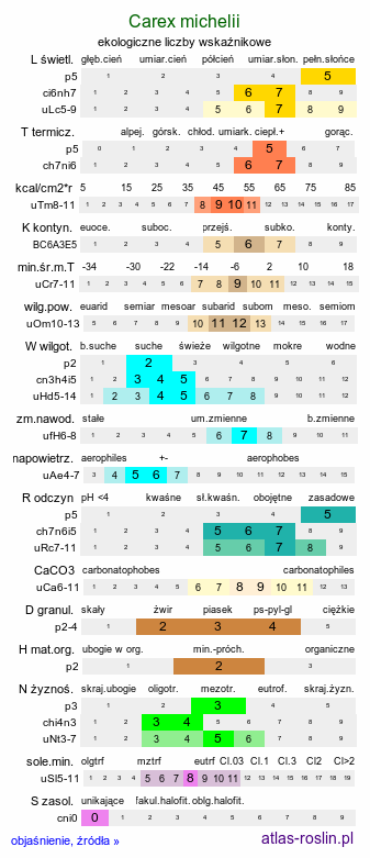 ekologiczne liczby wskaźnikowe Carex michelii (turzyca Michela)