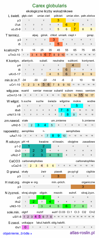 ekologiczne liczby wskaźnikowe Carex globularis (turzyca kulista)