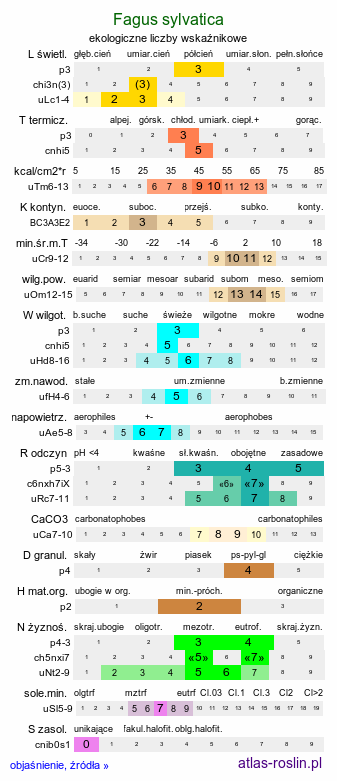 ekologiczne liczby wskaźnikowe Fagus sylvatica (buk zwyczajny)