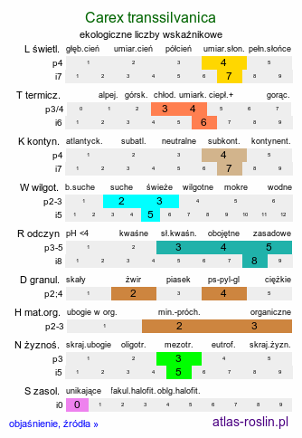 ekologiczne liczby wskaźnikowe Carex transsilvanica (turzyca siedmiogrodzka)