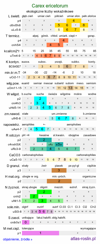 ekologiczne liczby wskaźnikowe Carex ericetorum (turzyca wrzosowiskowa)