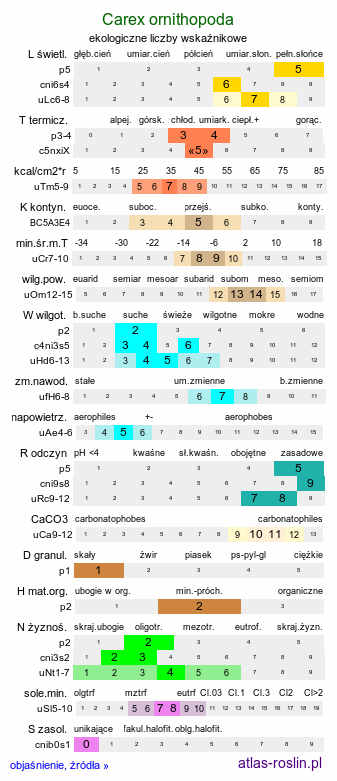 ekologiczne liczby wskaźnikowe Carex ornithopoda (turzyca ptasie łapki)