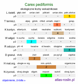 ekologiczne liczby wskaźnikowe Carex pediformis (turzyca stopowata)