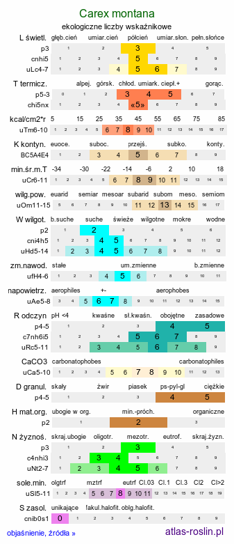 ekologiczne liczby wskaźnikowe Carex montana (turzyca pagórkowa)