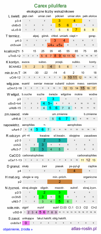 ekologiczne liczby wskaźnikowe Carex pilulifera (turzyca pigułkowata)