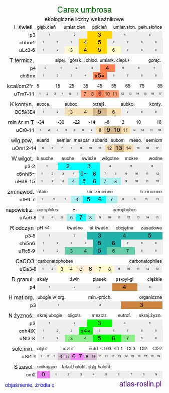 ekologiczne liczby wskaźnikowe Carex umbrosa (turzyca cienista)