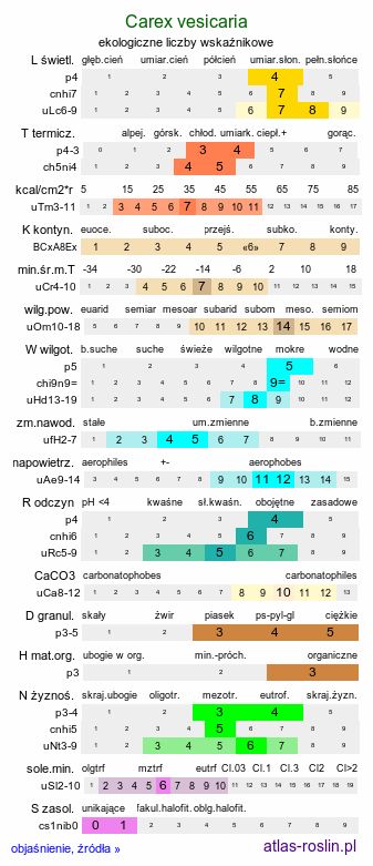 ekologiczne liczby wskaźnikowe Carex vesicaria (turzyca pęcherzykowata)