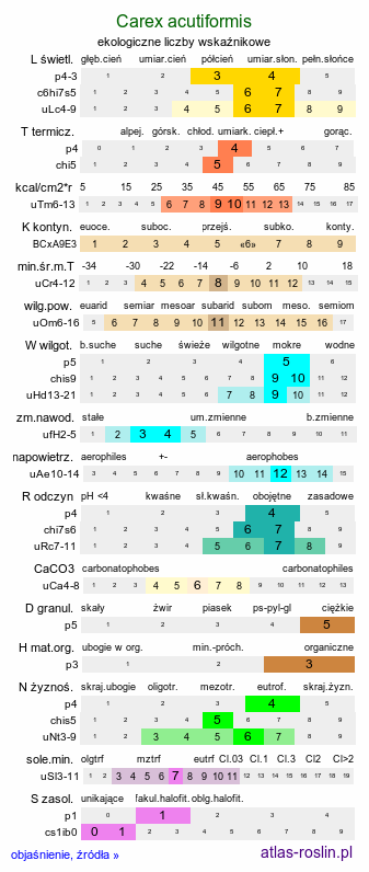 ekologiczne liczby wskaźnikowe Carex acutiformis (turzyca błotna)