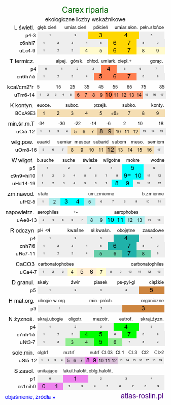 ekologiczne liczby wskaźnikowe Carex riparia (turzyca brzegowa)