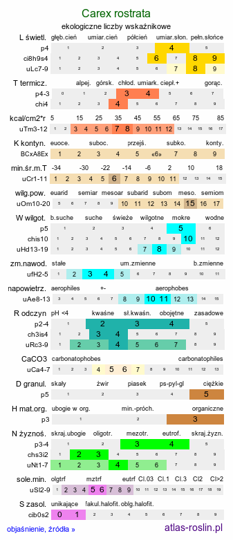 ekologiczne liczby wskaźnikowe Carex rostrata (turzyca dzióbkowata)