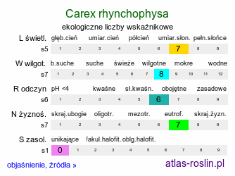 ekologiczne liczby wskaźnikowe Carex rhynchophysa (turzyca gładkodzióbkowa)