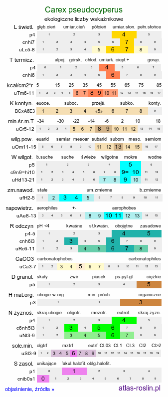 ekologiczne liczby wskaźnikowe Carex pseudocyperus (turzyca nibyciborowata)