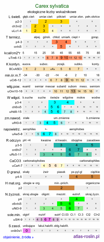 ekologiczne liczby wskaźnikowe Carex sylvatica (turzyca leśna)