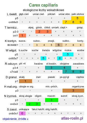 ekologiczne liczby wskaźnikowe Carex capillaris (turzyca włosowata)