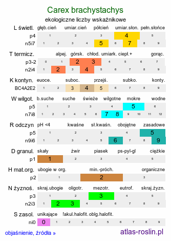 ekologiczne liczby wskaźnikowe Carex brachystachys (turzyca krótkokłosa)