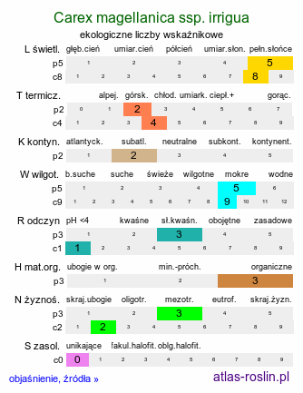 ekologiczne liczby wskaźnikowe Carex magellanica ssp. irrigua (turzyca patagońska)