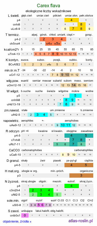 ekologiczne liczby wskaźnikowe Carex flava (turzyca żółta)