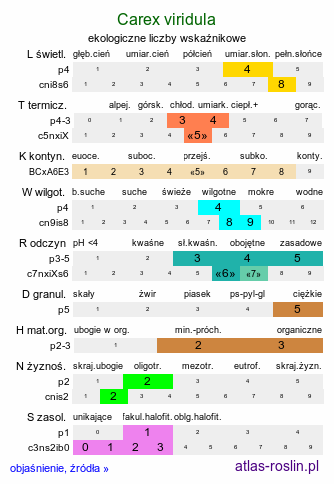 ekologiczne liczby wskaźnikowe Carex viridula (turzyca Oedera)