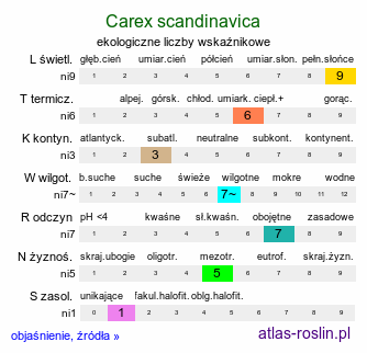 ekologiczne liczby wskaźnikowe Carex scandinavica (turzyca skandynawska)