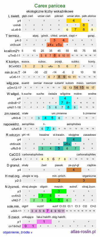 ekologiczne liczby wskaźnikowe Carex panicea (turzyca prosowata)