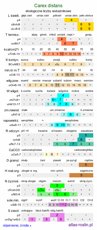 ekologiczne liczby wskaźnikowe Carex distans (turzyca odległokłosa)