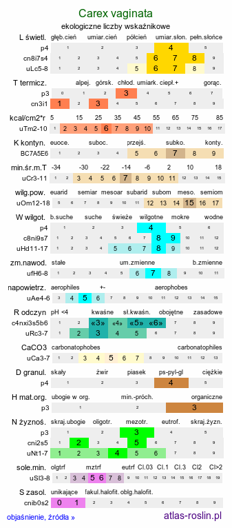 ekologiczne liczby wskaźnikowe Carex vaginata (turzyca luźnokwiatowa)