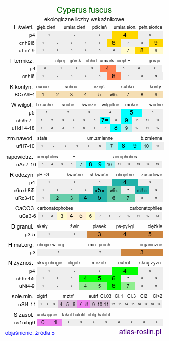 ekologiczne liczby wskaźnikowe Cyperus fuscus (cibora brunatna)