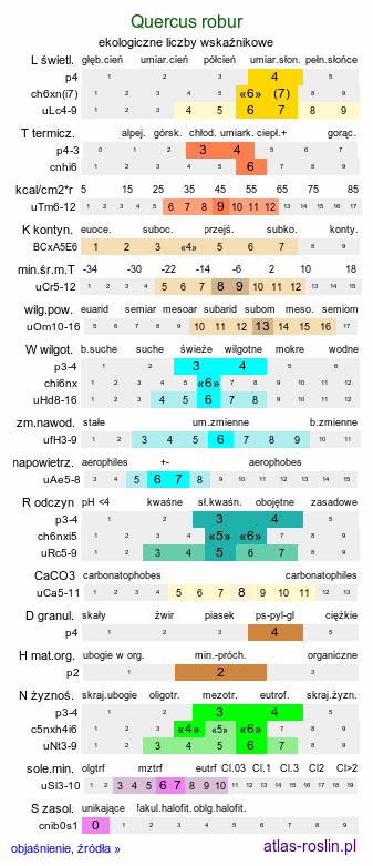 ekologiczne liczby wskaźnikowe Quercus robur (dąb szypułkowy)