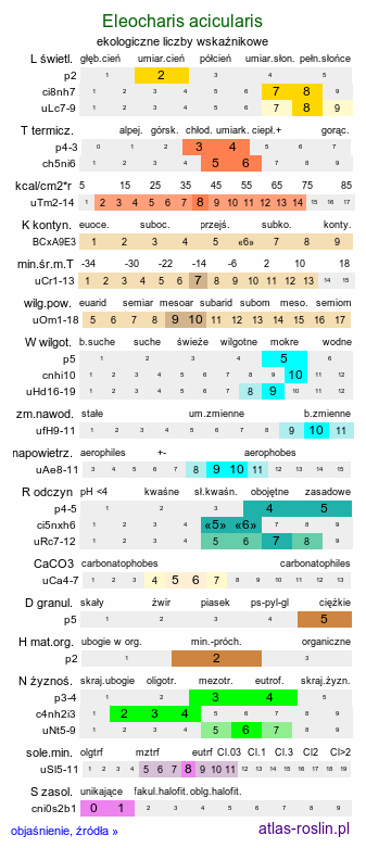 ekologiczne liczby wskaźnikowe Eleocharis acicularis (ponikło igłowate)