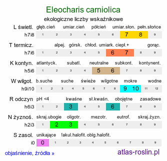 ekologiczne liczby wskaźnikowe Eleocharis carniolica (ponikło kraińskie)