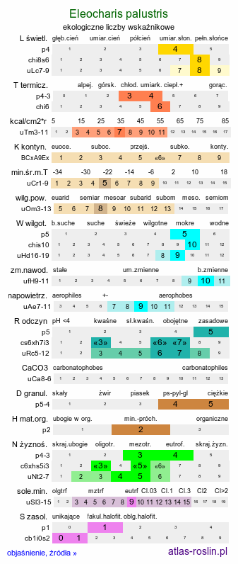 ekologiczne liczby wskaźnikowe Eleocharis palustris (ponikło błotne)