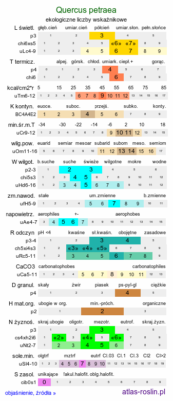 ekologiczne liczby wskaźnikowe Quercus petraea (dąb bezszypułkowy)