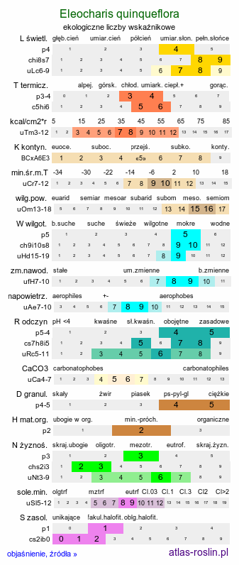 ekologiczne liczby wskaźnikowe Eleocharis quinqueflora (ponikło skąpokwiatowe)