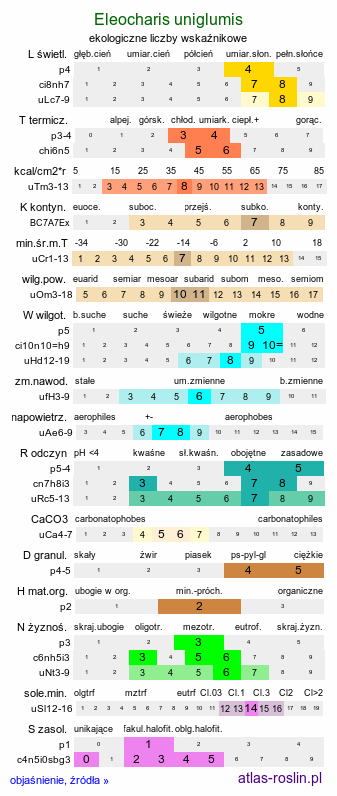 ekologiczne liczby wskaźnikowe Eleocharis uniglumis (ponikło jednoprzysadkowe)