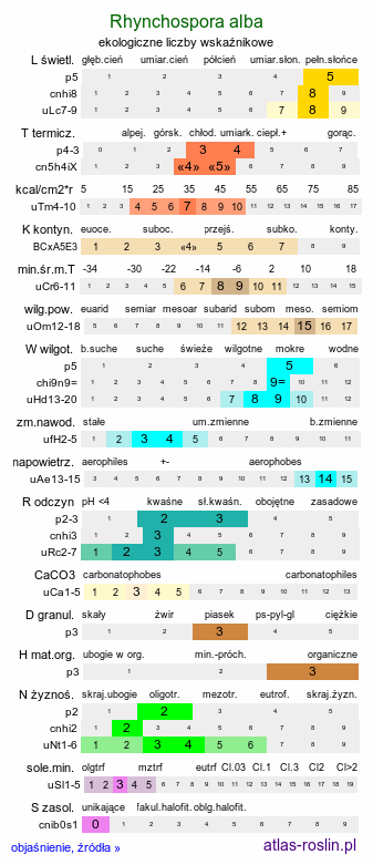 ekologiczne liczby wskaźnikowe Rhynchospora alba (przygiełka biała)