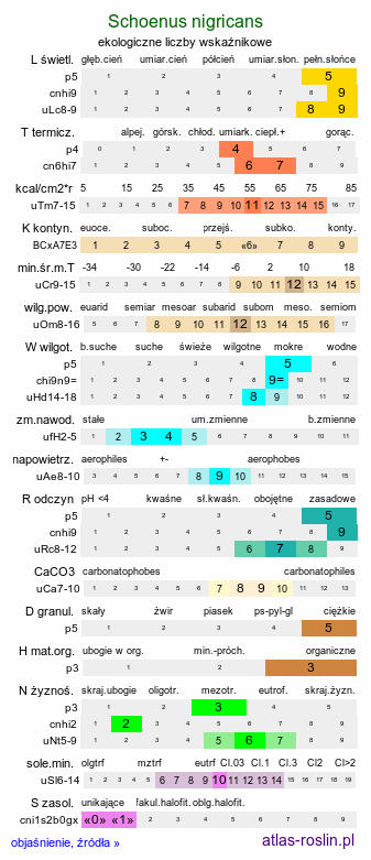 ekologiczne liczby wskaźnikowe Schoenus nigricans (marzyca czarniawa)