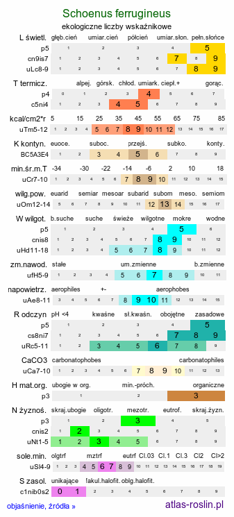 ekologiczne liczby wskaźnikowe Schoenus ferrugineus (marzyca ruda)