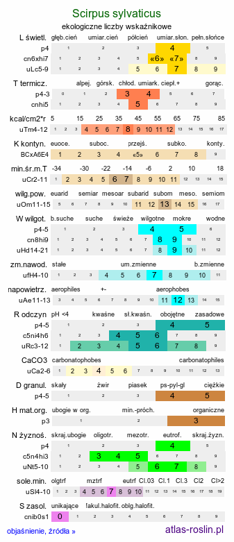 ekologiczne liczby wskaźnikowe Scirpus sylvaticus (sitowie leśne)