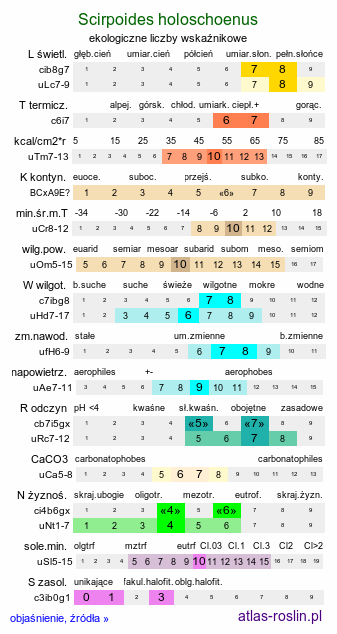 ekologiczne liczby wskaźnikowe Scirpoides holoschoenus (hołoszeń główkowaty)