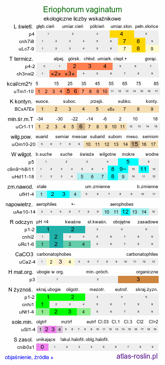 ekologiczne liczby wskaźnikowe Eriophorum vaginatum (wełnianka pochwowata)