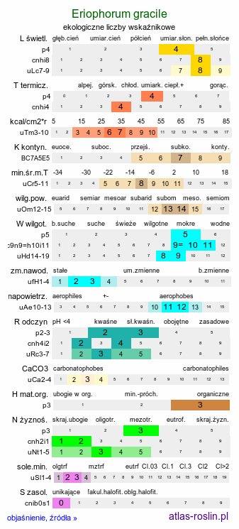 ekologiczne liczby wskaźnikowe Eriophorum gracile (wełnianka delikatna)