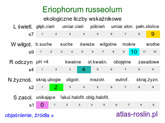 ekologiczne liczby wskaźnikowe Eriophorum russeolum (wełnianka czerwonawa)