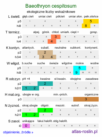 ekologiczne liczby wskaźnikowe Baeothryon cespitosum (wełnianeczka darniowa)