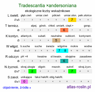 ekologiczne liczby wskaźnikowe Tradescantia ×andersoniana (trzykrotka wirginijska)