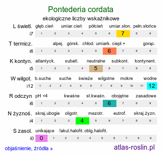 ekologiczne liczby wskaźnikowe Pontederia cordata (rozpław sercowaty)