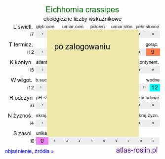 ekologiczne liczby wskaźnikowe Pontederia crassipes (eichornia gruboogonkowa)